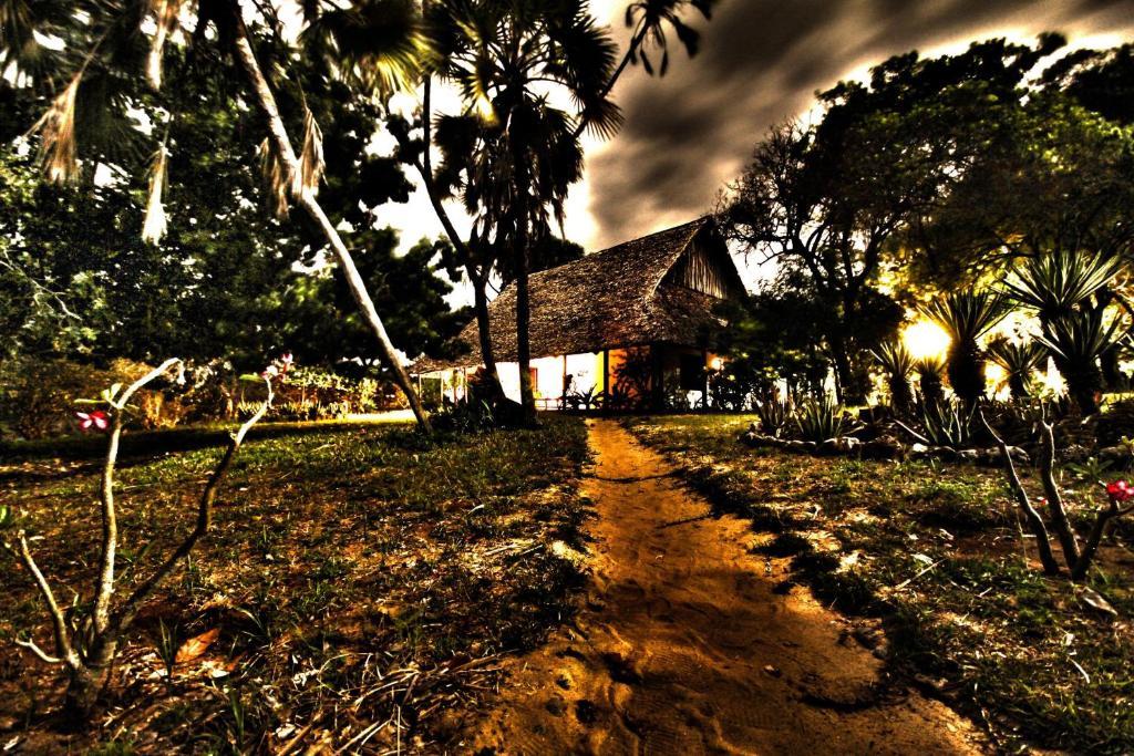 Amani Beach Resort Kutani Exterior photo