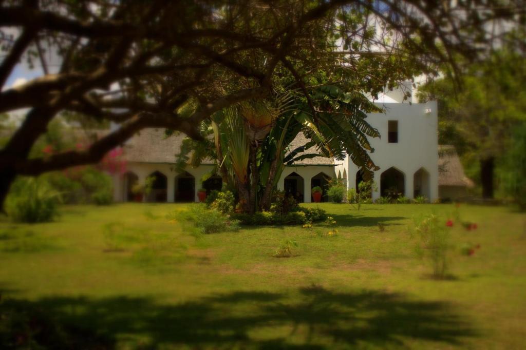 Amani Beach Resort Kutani Exterior photo